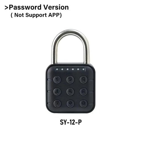 PulseLock Pro: Bluetooth Fingerprint Padlock for Digital Security - PulsePlay Tech